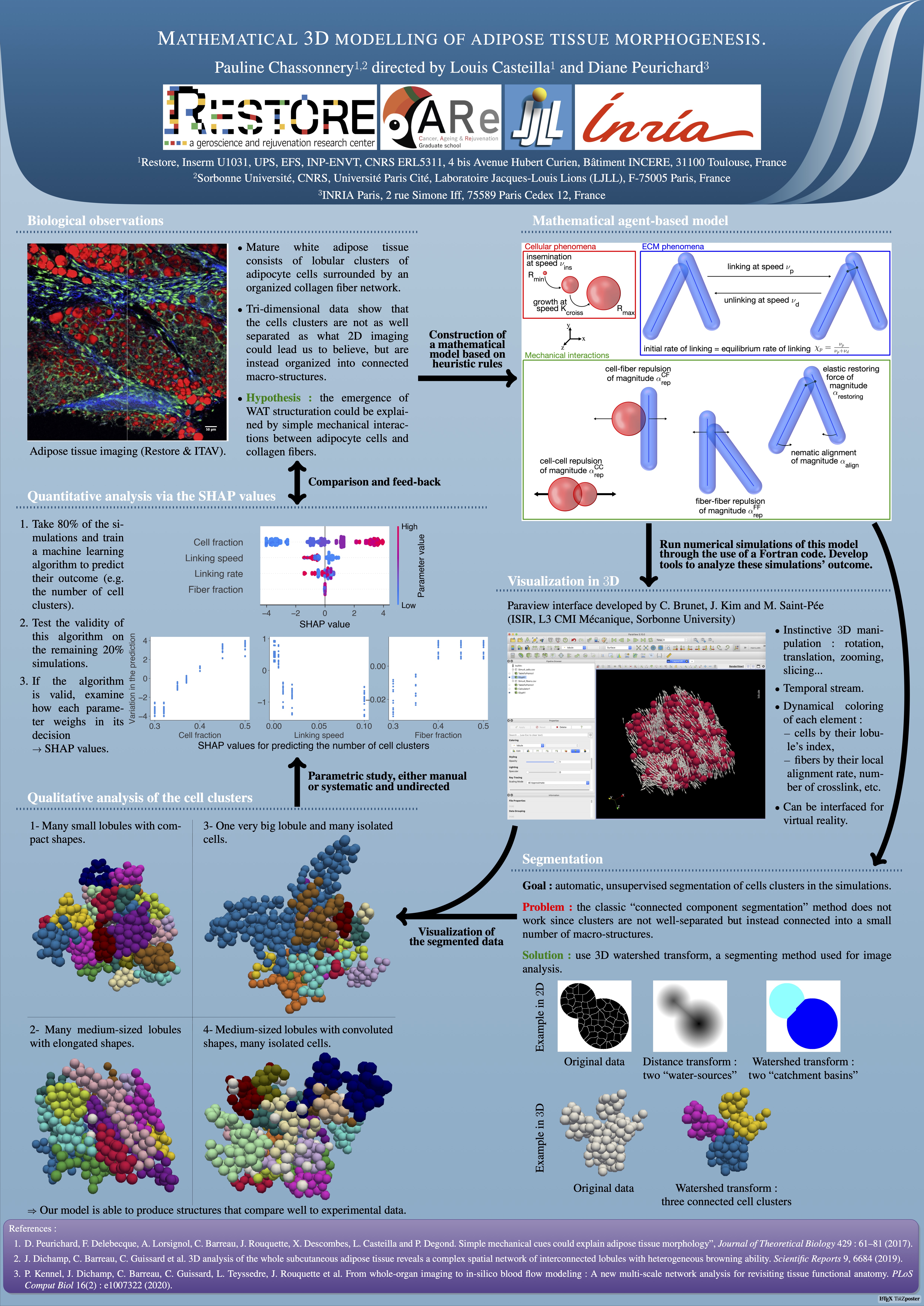 Poster thesis